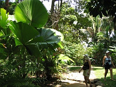 010 Jardin Botanique